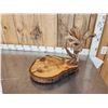Image 5 : Live Edge Wood & Antler Sculpture