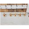 Image 2 : 5 Beaver Skulls Taxidermy