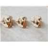 Image 5 : 5 Beaver Skulls Taxidermy