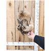 Image 10 : Coyote Fur Hat Ear Muffs & Mittens