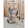 Image 7 : Zebra Full Body Taxidermy Mount