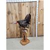 Image 4 : Gobbling Turkey Pedestal Bird Taxidermy Mount