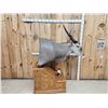 Image 3 : African Eland Pedestal Taxidermy Mount