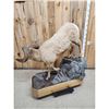 Image 6 : Bighorn Sheep Full Body Taxidermy Mount