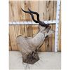 Image 8 : African Kudu Table Top/ Floor Pedestal Taxidermy Mount