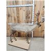 Image 7 : Caribou Full Body Taxidermy Mount