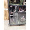 Image 14 : Taxidermy Curiosity Cabinet Includes 11 Taxidermy Mounts