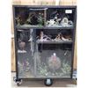 Image 1 : Taxidermy Curiosity Cabinet Includes 11 Taxidermy Mounts