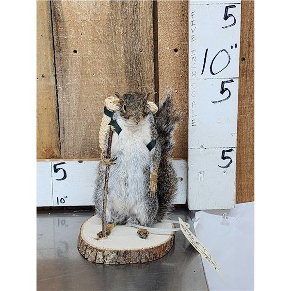 Backpacking Squirrel Full Body Taxidermy Mount