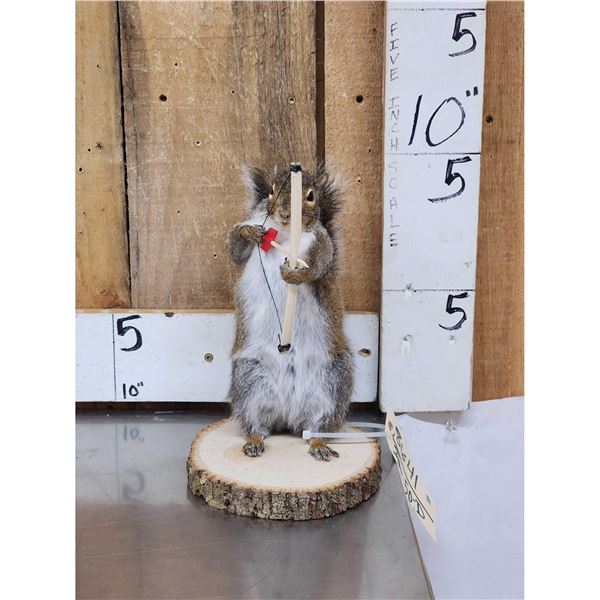 Bow Hunting Squirrel Taxidermy Mount