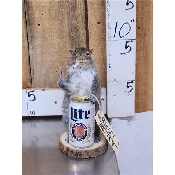 Naughty Squirrel Full Body Taxidermy Mount