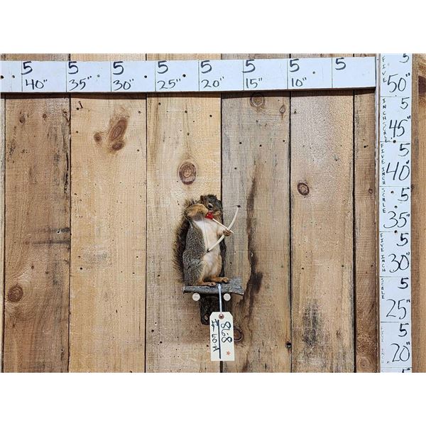 Bow Hunting Squirrel Taxidermy Mount
