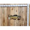 Image 1 : 31" Walleye Real Skin Fish Taxidermy