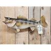 Image 2 : 25" Walleye Real Skin Fish Taxidermy