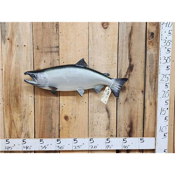 29" King Salmon Reproduction Fish Taxidermy