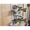Image 4 : 18" & 15" Largemouth Bass Real Skin Fish Taxidermy