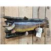 Image 2 : 23" Brown Stream Trout Real Skin Fish Taxidermy