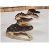 Image 4 : 4 Alligator Heads Taxidermy
