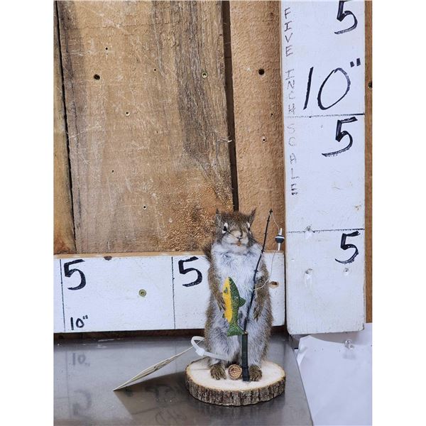 Fishing Squirrel Taxidermy Mount