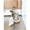 Image 2 : Fishing Squirrel Taxidermy Mount