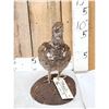 Image 3 : Blue Grouse Full Body Bird Taxidermy