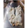 Image 4 : 2 Arctic Cross Fox Soft Tanned Furs