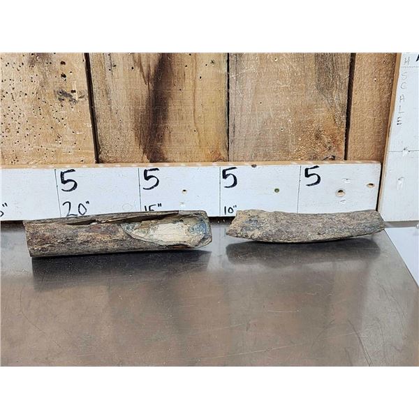 2 Woolly Mammoth Tusk Sections Fossilized Fossil