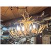 Image 1 : 8 Light Whitetail Antler Chandelier