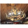 Image 3 : 8 Light Whitetail Antler Chandelier