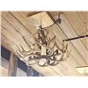 Image 6 : 8 Light Whitetail Antler Chandelier