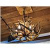 Image 9 : 8 Light Whitetail Antler Chandelier