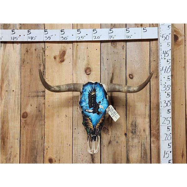 Hand Painted Steer Skull Taxidermy