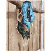 Image 7 : Hand Painted Steer Skull Taxidermy