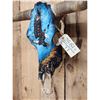 Image 8 : Hand Painted Steer Skull Taxidermy