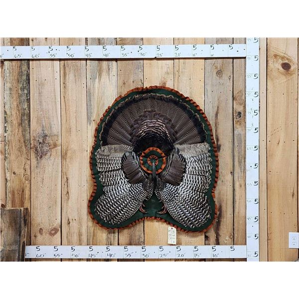 Turkey Rug Taxidermy