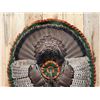 Image 3 : Turkey Rug Taxidermy