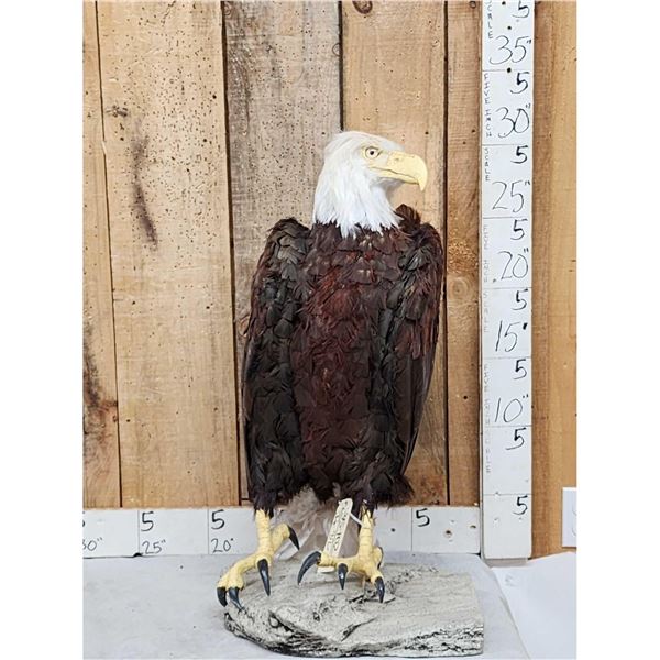 Reproduction Eagle Taxidermy