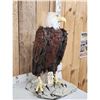 Image 2 : Reproduction Eagle Taxidermy