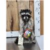 Image 1 : Raccoon Eating Peanut Butter Taxidermy Mount