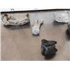 Image 3 : Florida Ice Age Fossil Lot