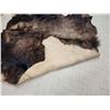 Image 5 : Big Moose Soft Tanned Hide