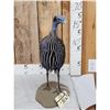 Image 2 : Vulterine Guinea Fowl Full Body Bird Taxidermy