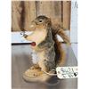 Image 3 : Naughty Squirrel Full Body Taxidermy Mount