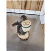 Image 4 : Backpacking Squirrel Full Body Taxidermy Mount