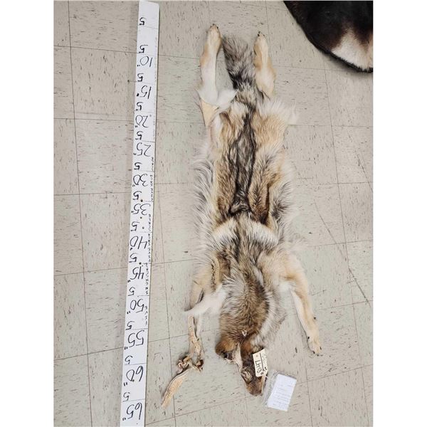 Canadian Wolf Soft Tanned Fur