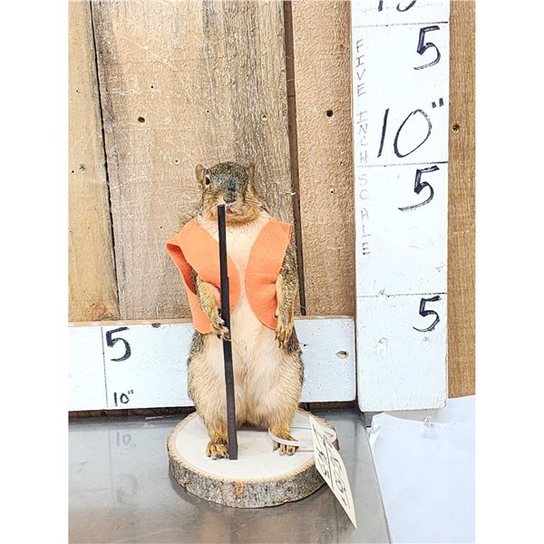 Hunting Squirrel Full Body Taxidermy Mount