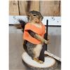 Image 3 : Hunting Squirrel Full Body Taxidermy Mount
