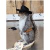 Image 3 : Sheriff Squirrel Taxidermy Mount