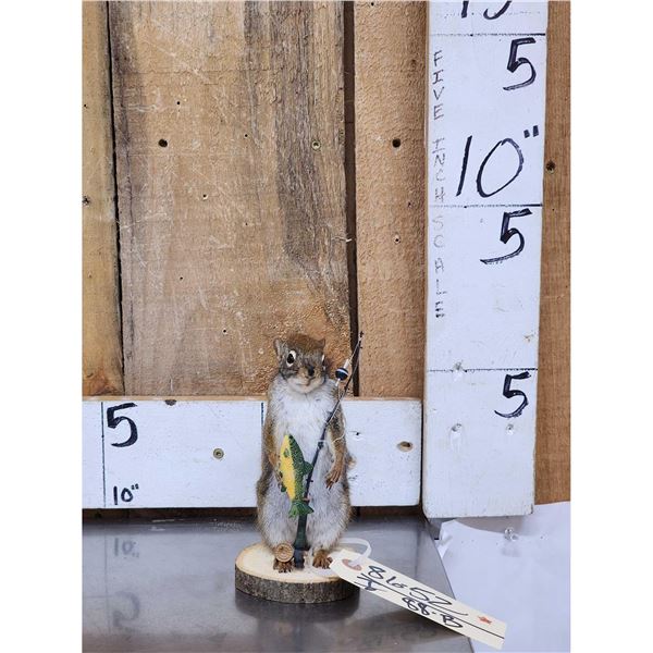Fishing Squirrel Taxidermy Mount