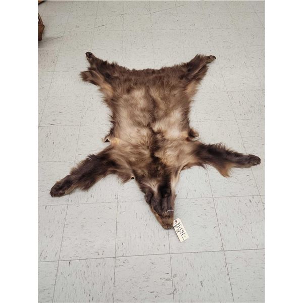 Blonde Phase Black Bear Soft Tanned Fur